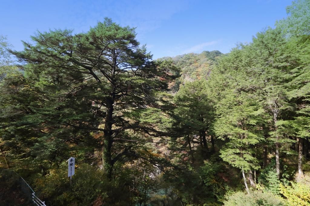 Tsuganoki Hotell Nikko Exteriör bild